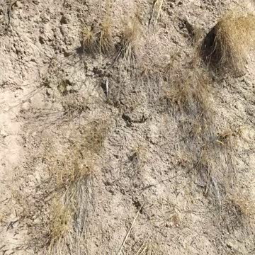 Cress Creek Idaho Hike Hiking