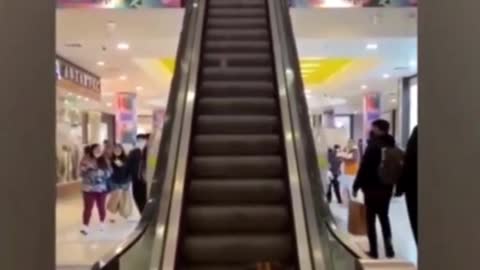 At first I thought the dog was waiting for the elevator
