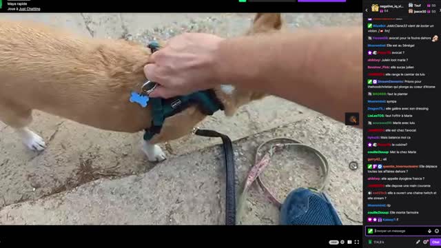 2022-10-11 (1bis) - Maya rapide - Twitch Decheterie (version avec chat)