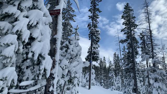 "Bruce's Ballpark" Brown Sign, Elevation: 6,640 – Central Oregon – Vista Butte Sno-Park – 4K