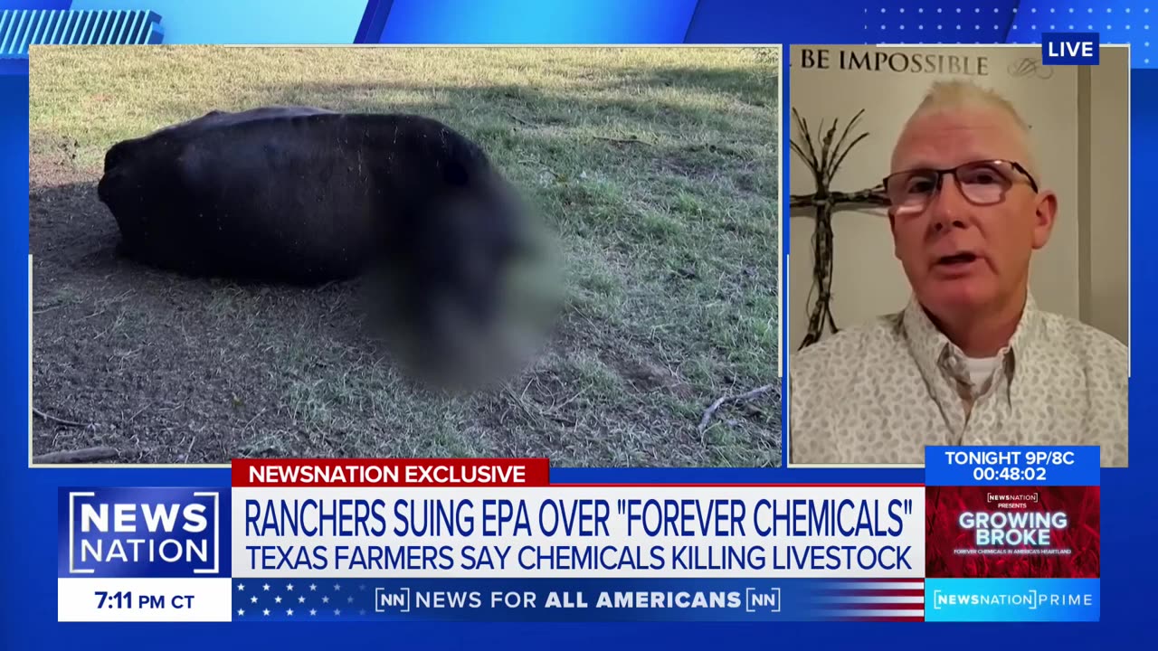 Forever chemicals killed 39 animals, ‘devastated our lives’: Texas rancher | NewsNation Prime