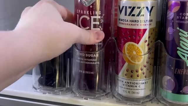 Beverage fridges