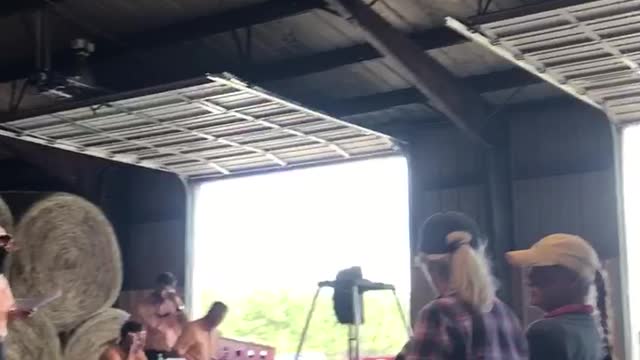 Shannon Everett Farm Auction