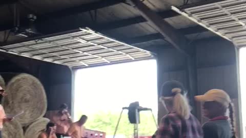 Shannon Everett Farm Auction