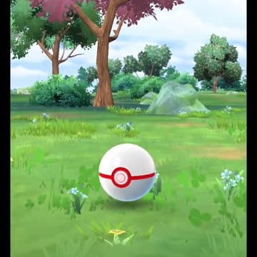 Pokémon GO-Shadow Torchic