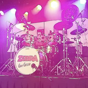 Guy Gelso (Zebra) - LIVE @ Basement East (Short 2)