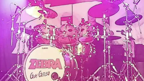 Guy Gelso (Zebra) - LIVE @ Basement East (Short 2)