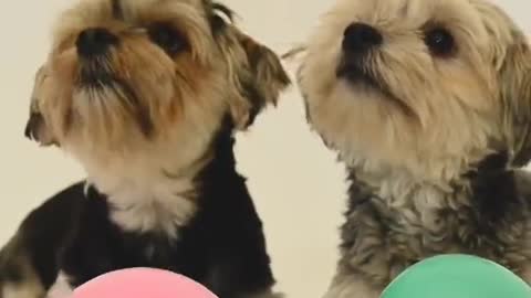 Super cute