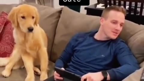 CALL YOUR DOGS NAME WHEN THEY’RE RIGHT NEXT TO U 🤣SEE THEIR REACTION!!