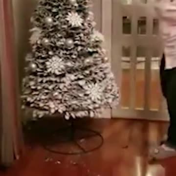 The tree was a paid actor. 🎄 #christmas