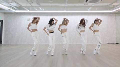 Apink - Dilemma Dance Practice [Mirrored]