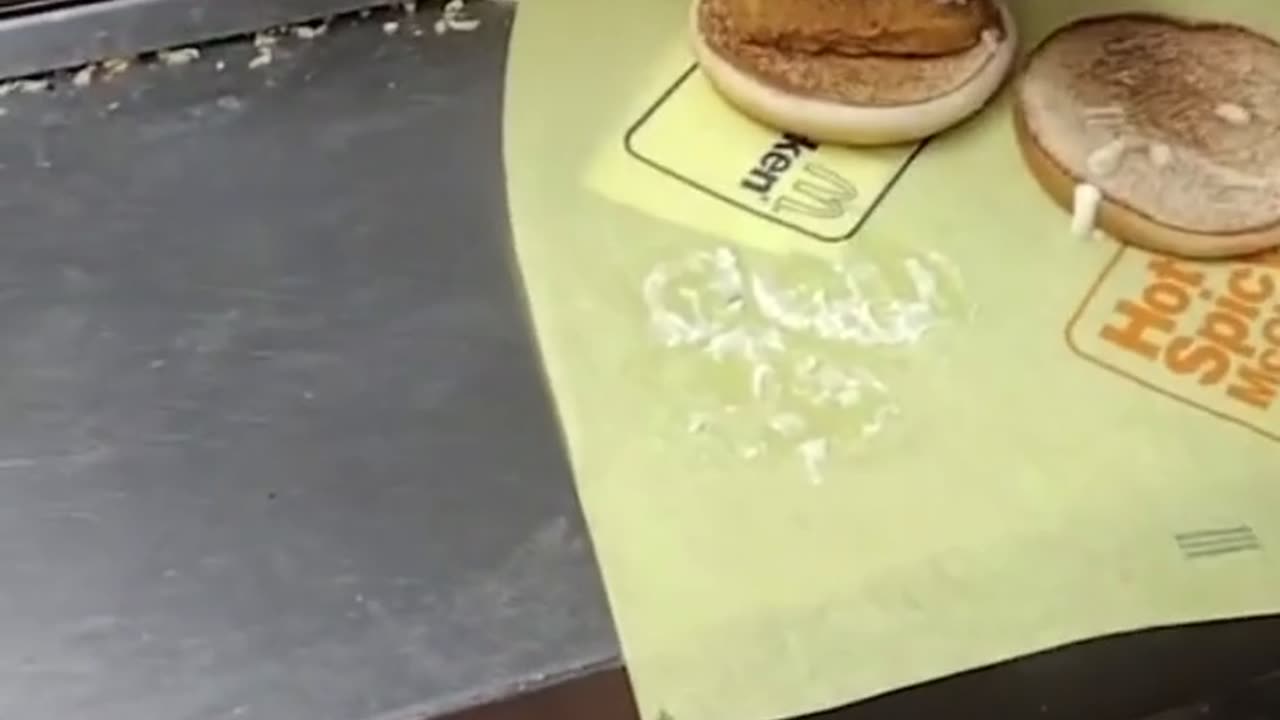 Crazy and Funny Videos!