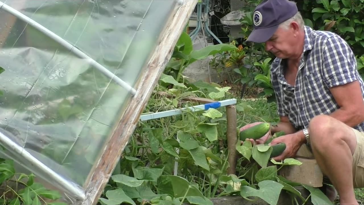 End Time Gardening Episode 2 The harvest