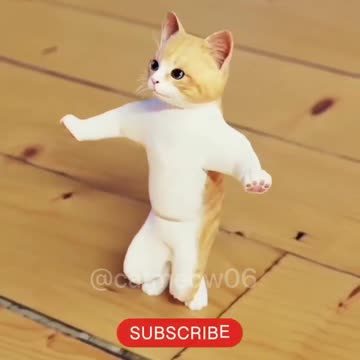 CAT DANCE VERY FUNNY
