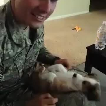 Little puppy kicks his legs when he's tickled!