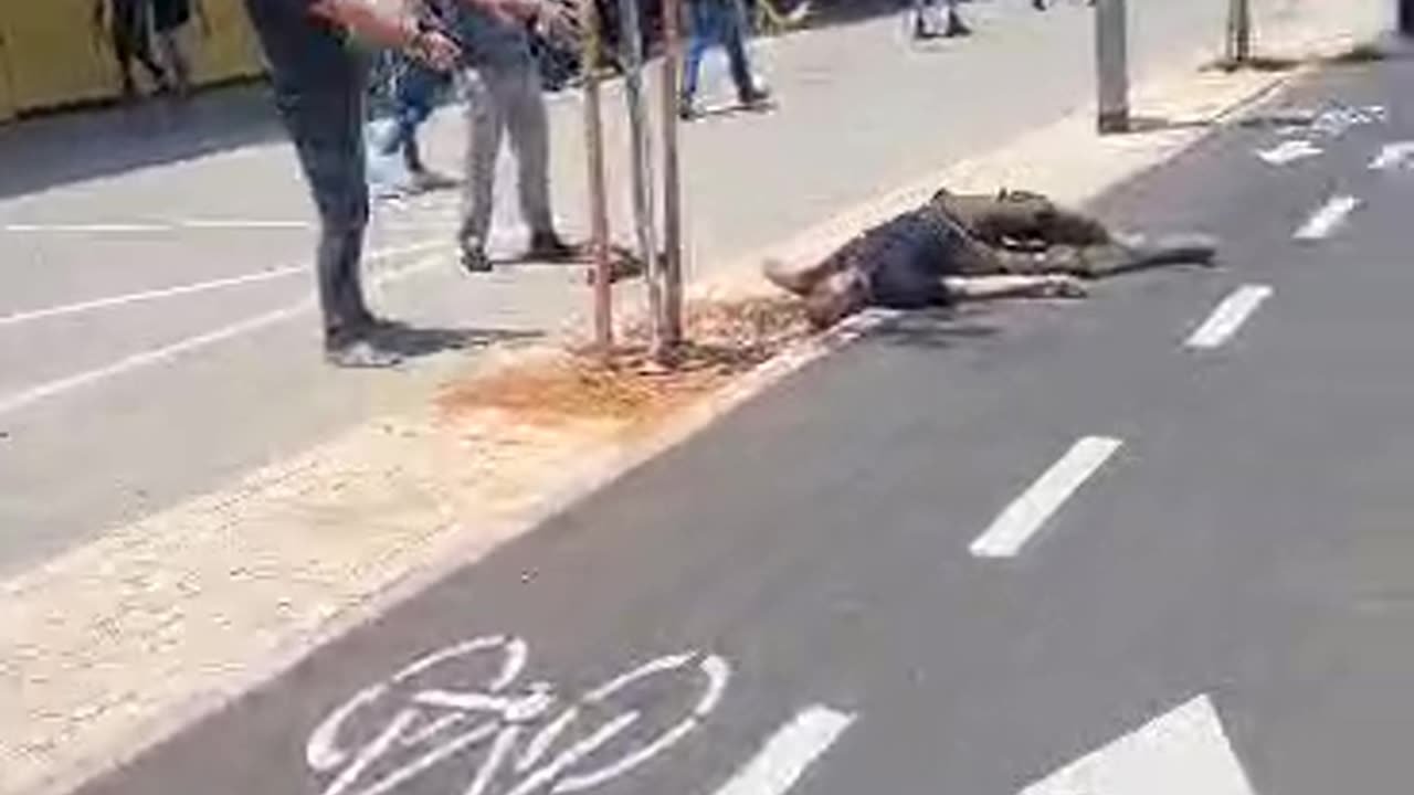 A Jihadi terrorist neutralized by security forces in Tel-aviv Israel