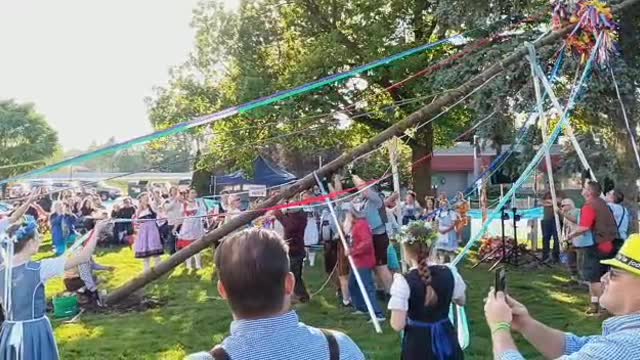 Der Maibaum - Raising of the Maypole in Frankenmuth, MI