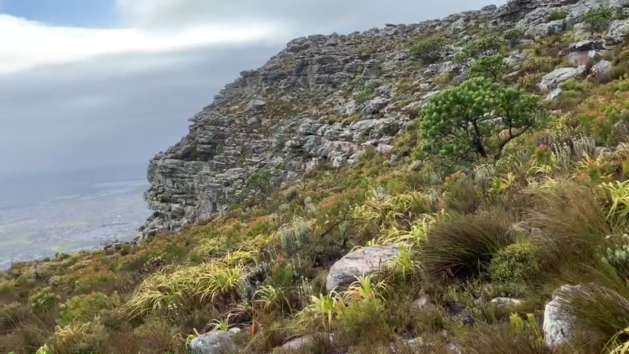 Steenberg Peak Hike