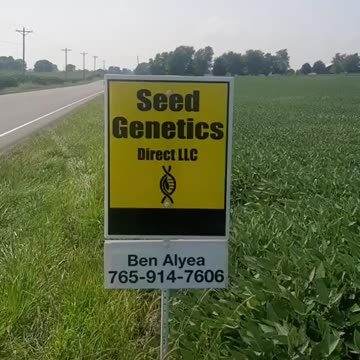 Welcome To The New Age