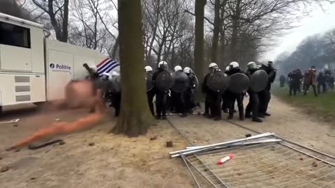 Urgent !! PIGS in EU are getting hammered..