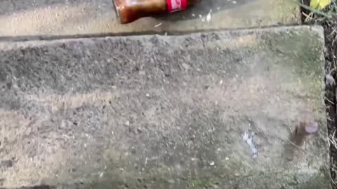 Crushing bottle