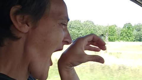 Do the roar
