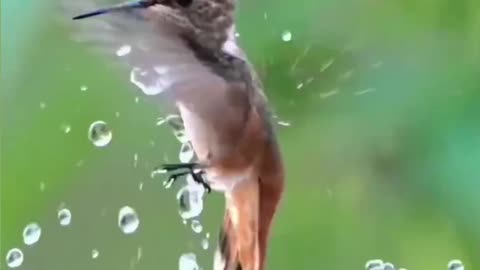 Mesmerizing moment