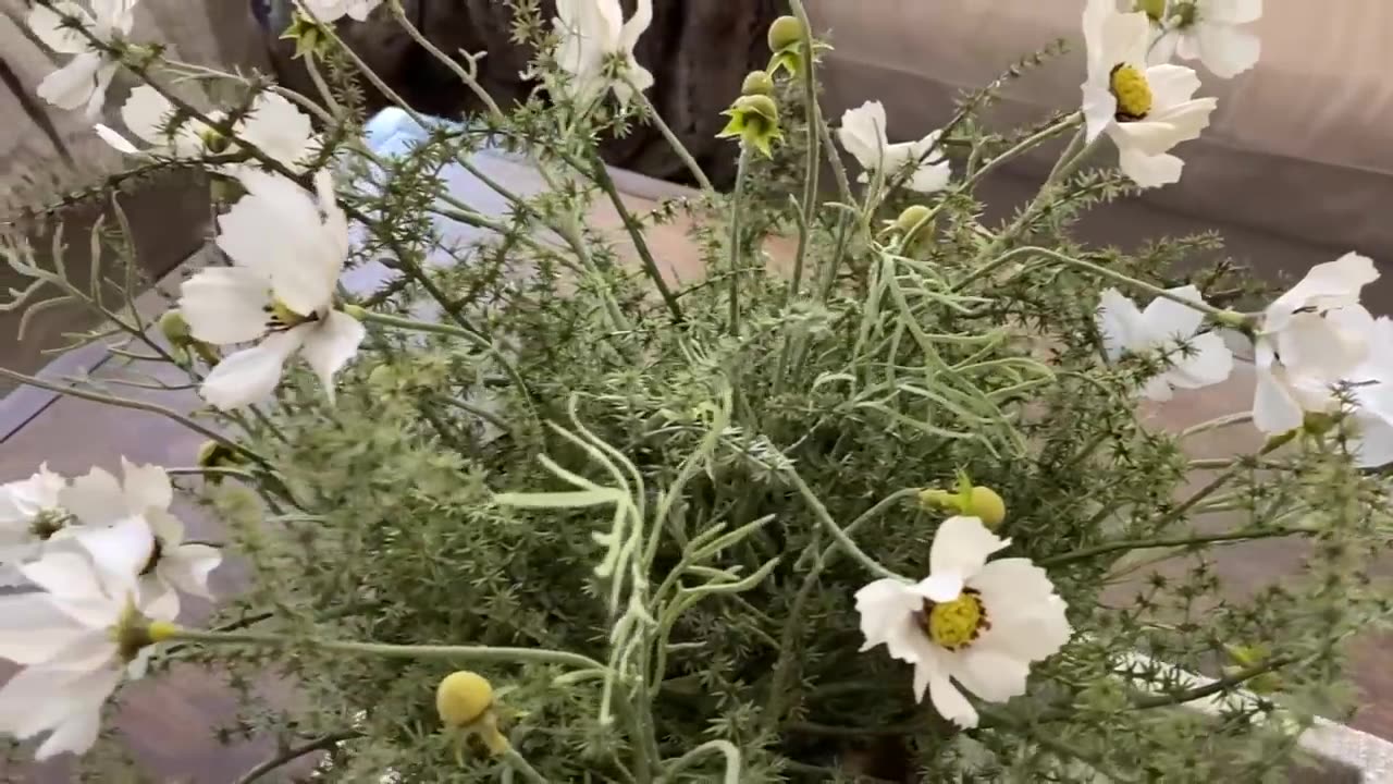 ***Spring Florals | favourite budget friendly stems***