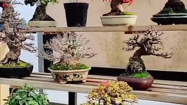 Đôi khi Góc nhỏ của một ai đó cũng là ước mơ của bao người