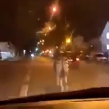 In France, the rioters let the animals out of a zoo. Zebras, elephants, Lions and others escaped.