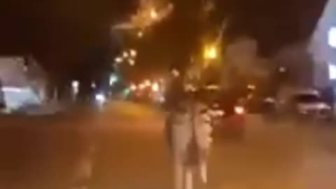 In France, the rioters let the animals out of a zoo. Zebras, elephants, Lions and others escaped.