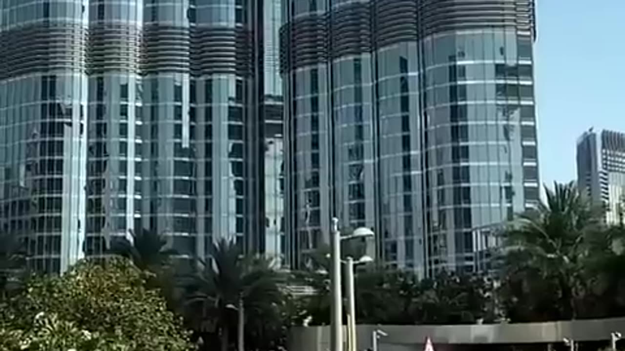 $500 million dollar hobby of the king of Dubai 🤴