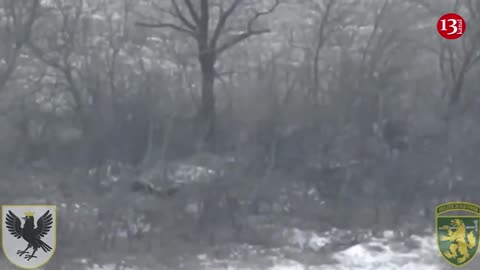 Hundreds of Russians couldn’t break the siege near Ugledar - they sought to hide in forest