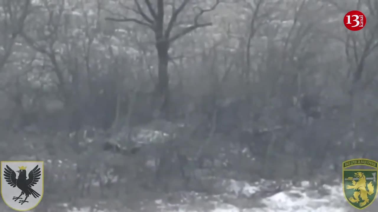Hundreds of Russians couldn’t break the siege near Ugledar - they sought to hide in forest