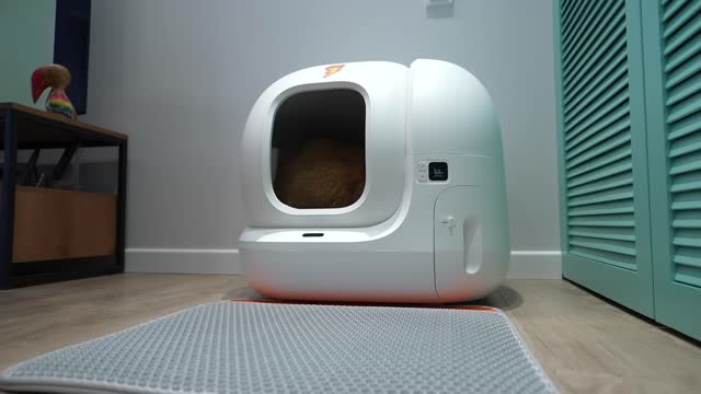 New Self-Cleaning Cat Litter Box for Hosico - PETKIT PURA MAX