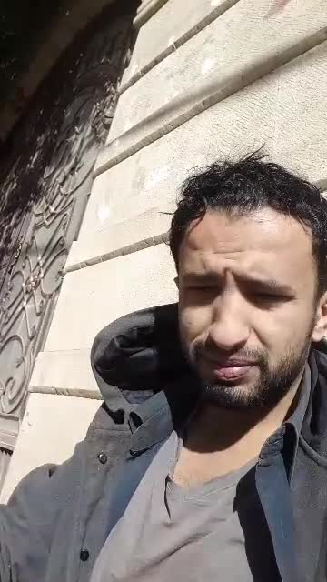 I am and with neighbors funny cat beautifull