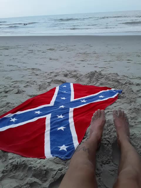 Rebel at the beach