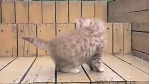 Good kiti
