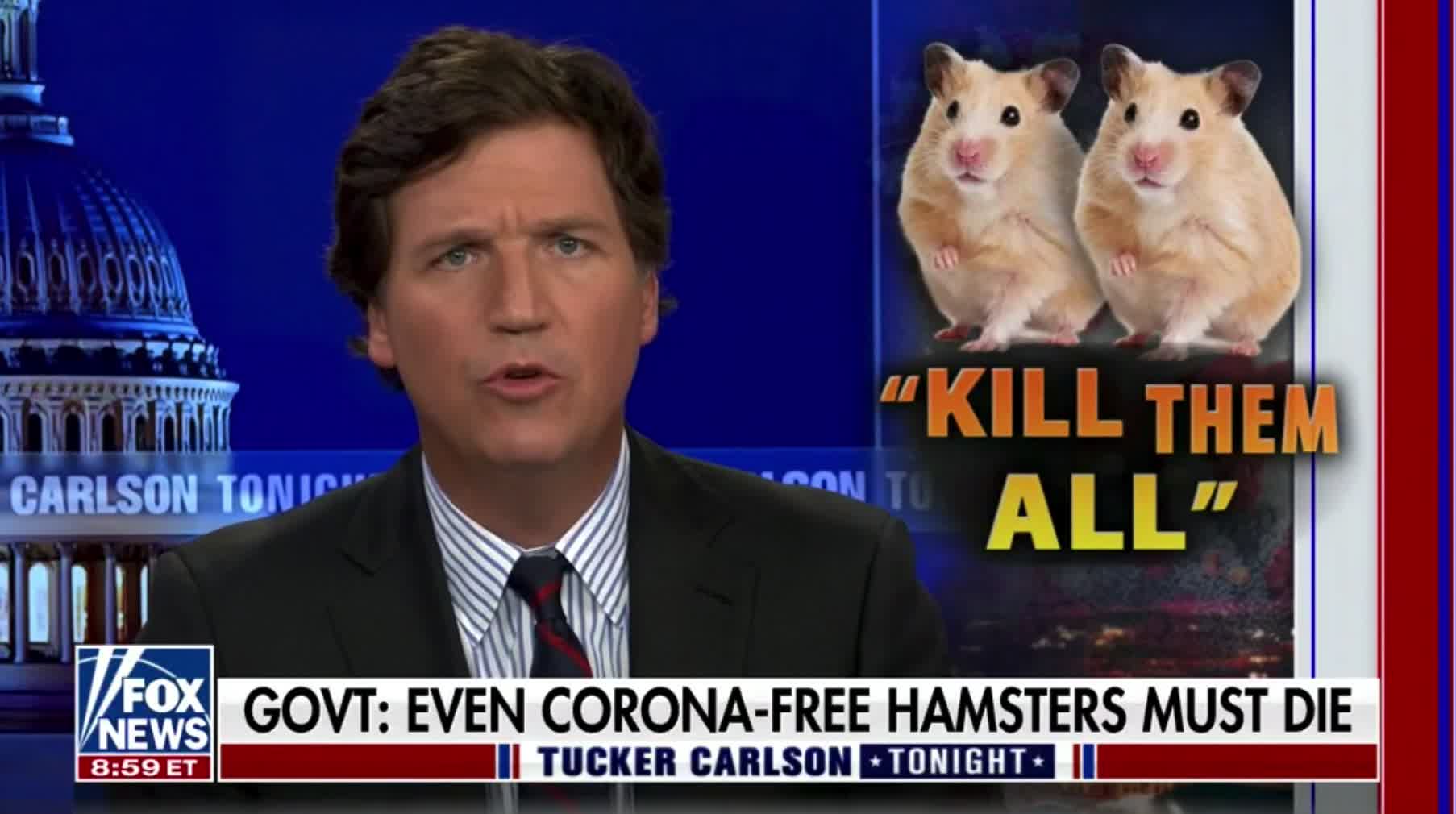 Tucker Carlson slams Hong Kong's plan to slaughter thousands of hamsters in the name of COVID safety