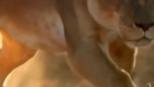 Comedy video scenes 😂😂😛😛