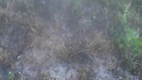 VISITA SUCO DE MANGA APROVADO