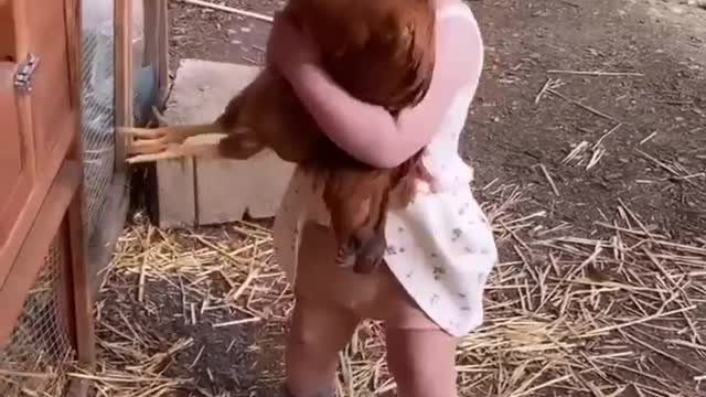 baby hug's chicken 🎥 mamasoli_go