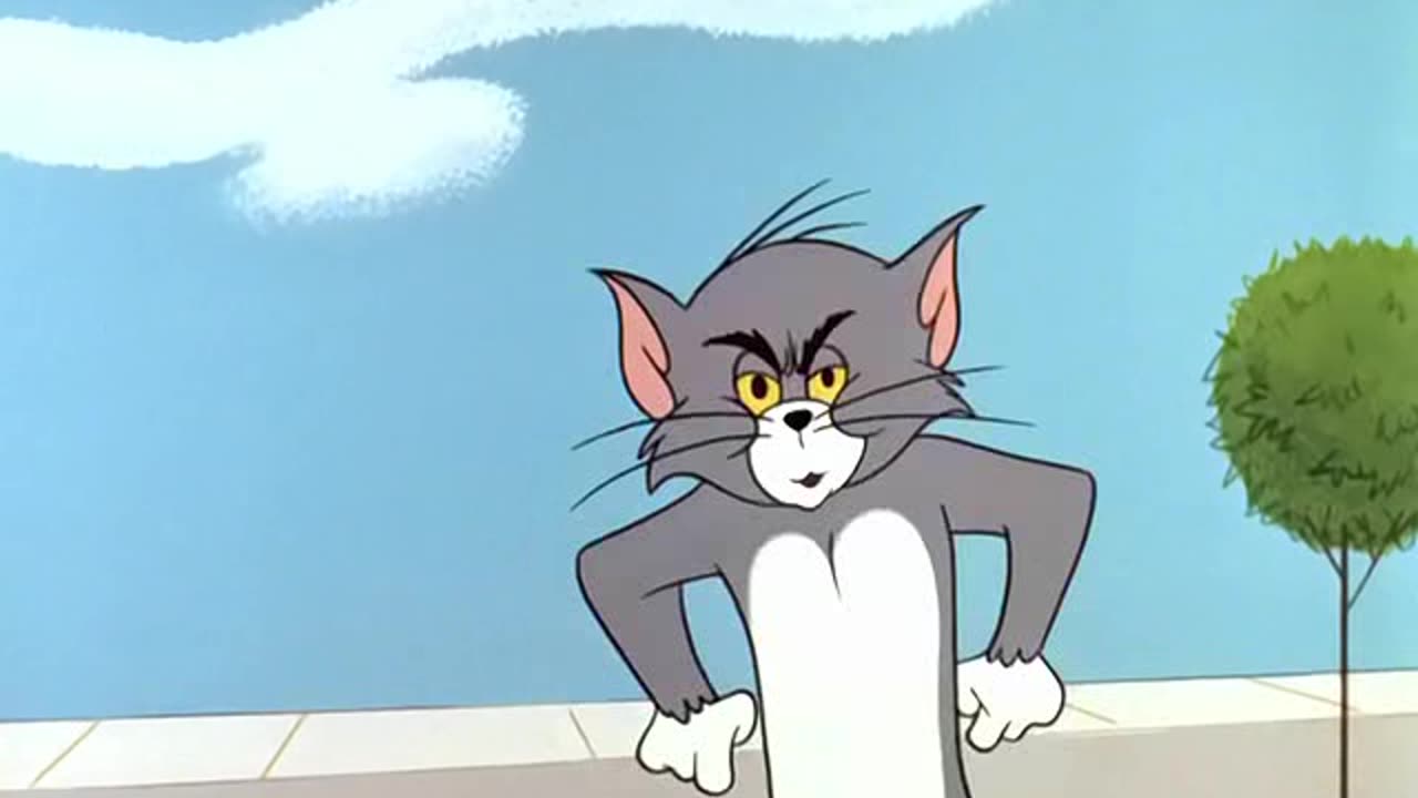 Best of Tom and Jerry, What are the best moments from Tom and Jerry?