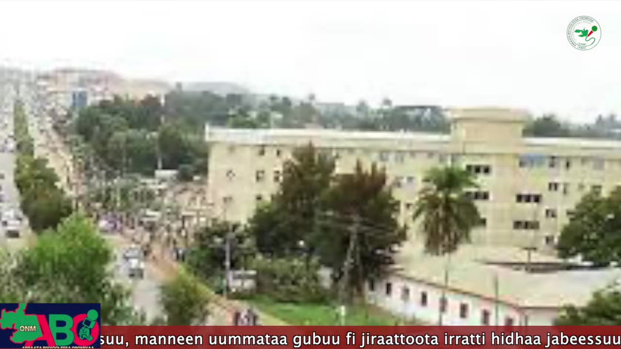 Oduu Waaree ONM-ABO Hagayya 7, 2023