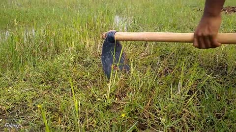 Amazing Hole Fish Trap- Smart Boy Build Fish Trap By Muddy soil ..