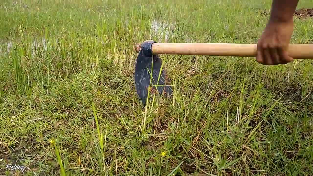 Amazing Hole Fish Trap- Smart Boy Build Fish Trap By Muddy soil ..