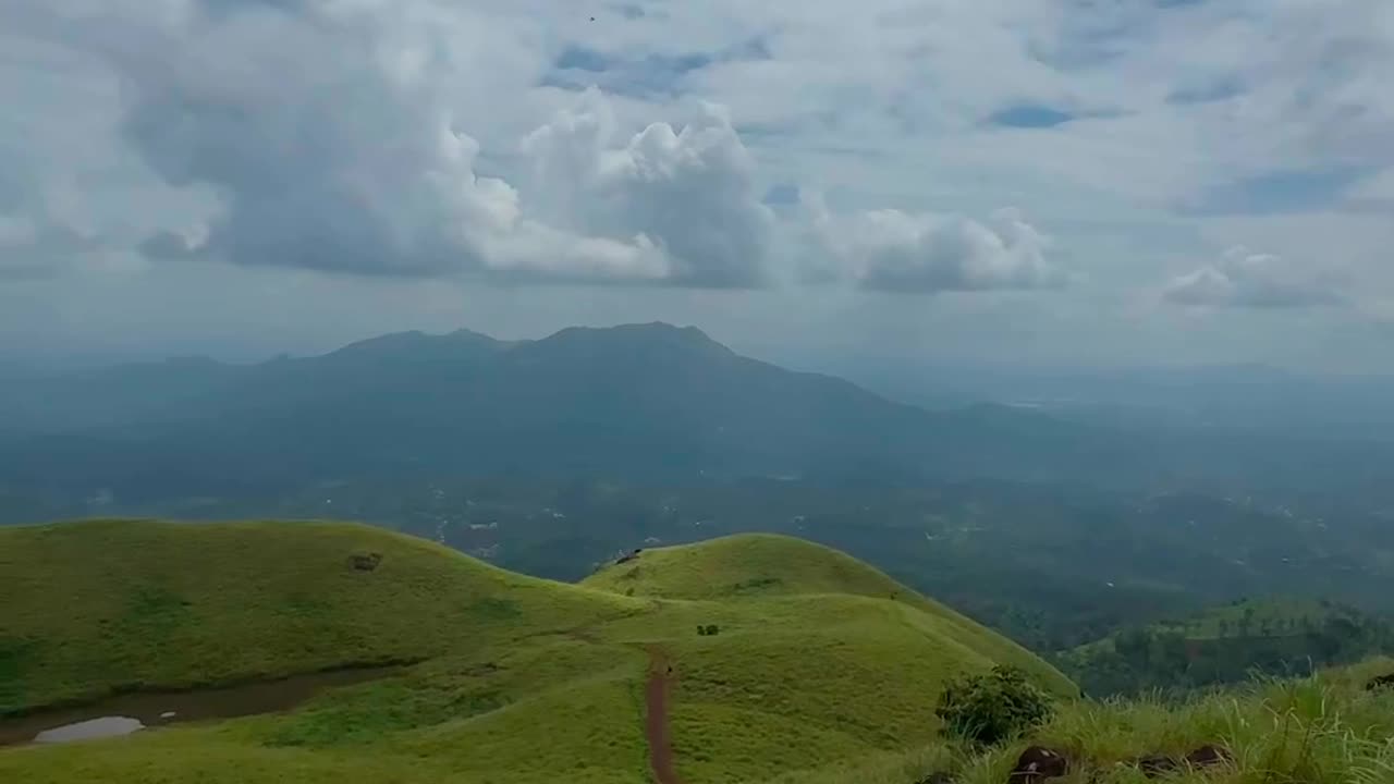 Nature's Canvas: Nadukani Estate, Wayanad 🌳🌄 | Short Film 🎥