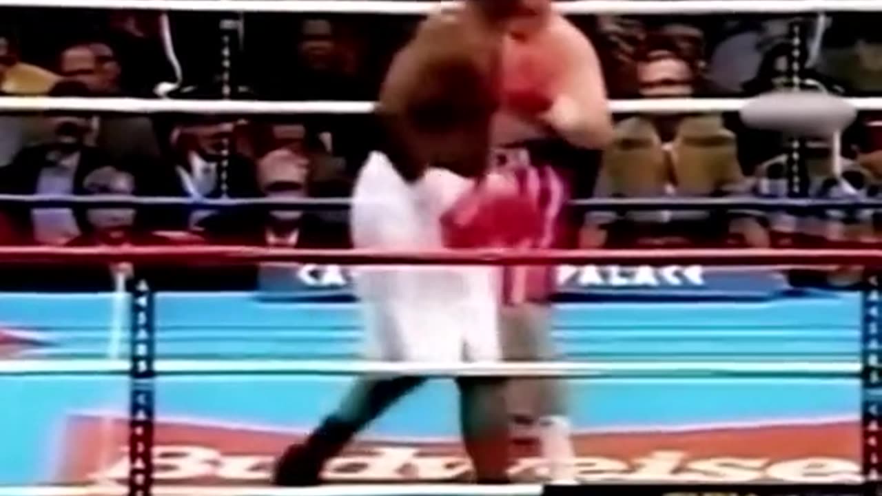 Butterbean knock outs.