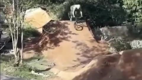 The end 😂😂😂 #viral #shorts #fails #funny #mmvfunny