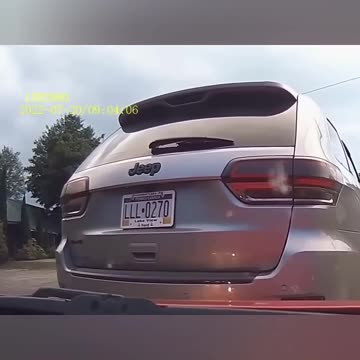 BRAKE CHECKED ON ROAD RAGE